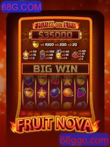 Descubra o Empolgante Mundo de FruitNova