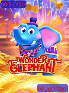 Descubra as Aventuras do WonderElephant e as Regras Dentro do Universo 68G.COM